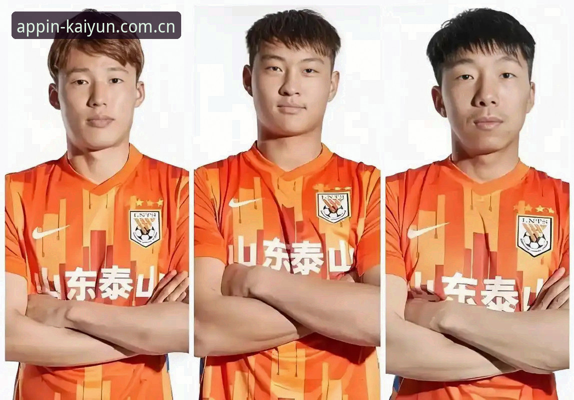 中国足协第三批禁足名单详解与行业深度观察
